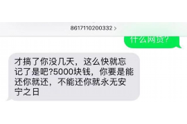 营口营口的要账公司在催收过程中的策略和技巧有哪些？